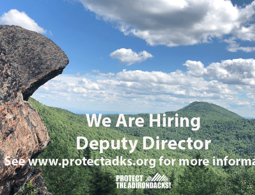 Protect the Adirondacks is seeking a Deputy Director