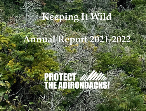 Read our 2021-2022 Annual Report for an update on major issues facing the Adirondack Park