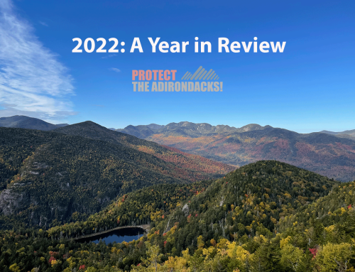 2022 was a busy year with many challenges for the Adirondack Park and Protect the Adirondacks
