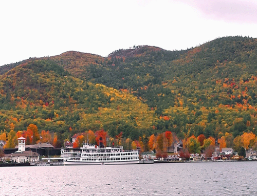 Adirondack Park Agency loses in State Supreme Court in Warren County on permit authorizing chemical treatment of Eurasian Watermilfoil on Lake George