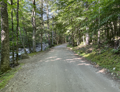 Public comments needed to make the Adirondack Park Agency comply with state laws to protect the Forest Preserve