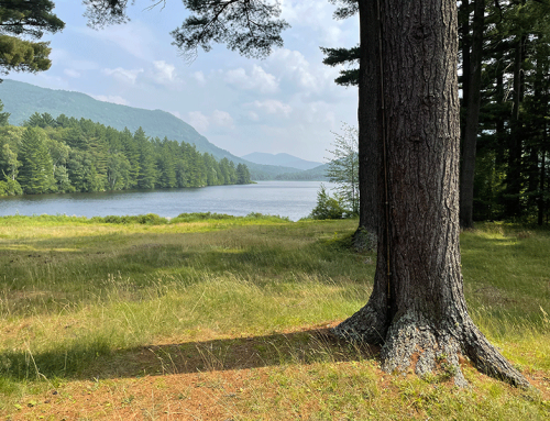 Tear down Debar Lodge and make Debar Pond into another Lake Lila