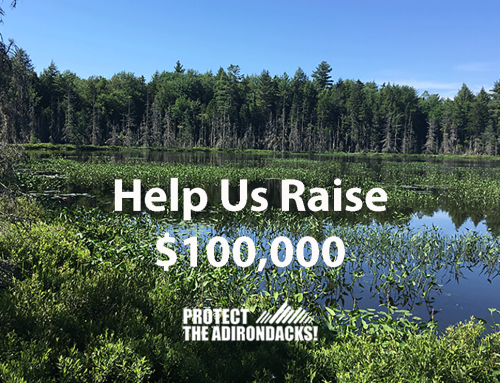 Help us raise $100,000 in our year-end membership challenge