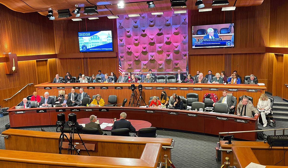 Chicago 2024 Budget Hearings Nell Auroora