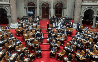 Alumni from the Timbuctoo Institute and Girls and Boy Scouts recognized in the NYS Assembly Chamber