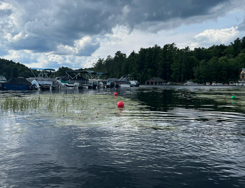 Protect the Adirondacks seeks court order directing DEC to conduct required Carrying Capacity study for the Saranac Chain of Lakes