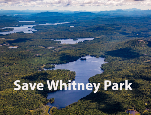 Campaign for Quiet Waters: Whitney Park