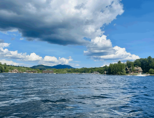 PROTECT Applauds Historic Environmental Funding in New York State Budget