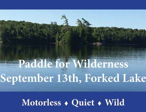 Register for the Paddle for Wilderness on September 13, 2025
