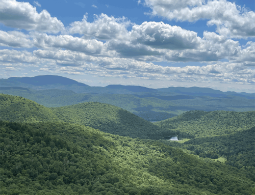 Read our 2024-2025 Annual Report – The Park’s Watchdog