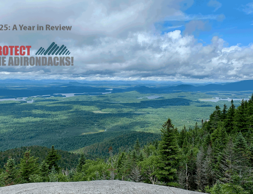 2025: A look back on our actions and impact in the Park