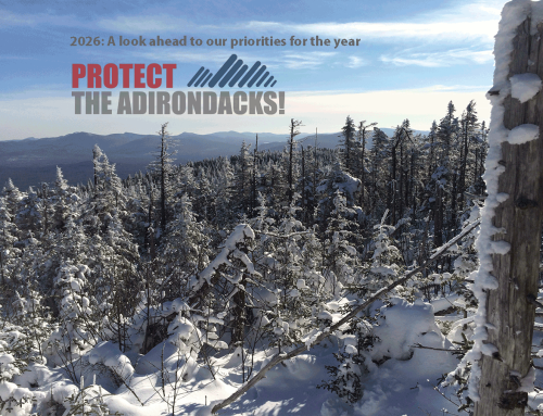 2026: A look ahead to our priorities for the year