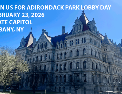 Join us for Adirondack Park Environmental Lobby Day on Monday February 23, 2026