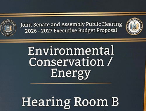 Legislature’s one-house budgets fund critical Adirondack programs