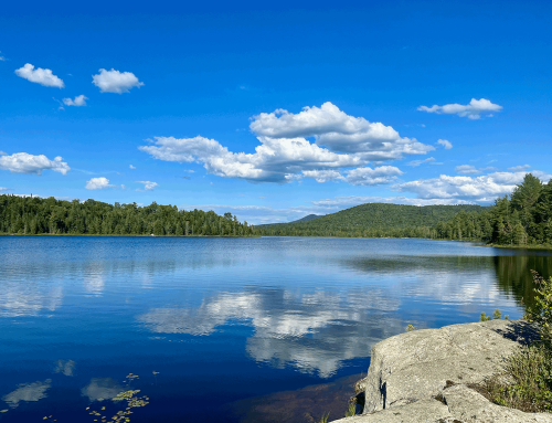 Protect the Adirondacks: Forever Wild, Forever Vigilant