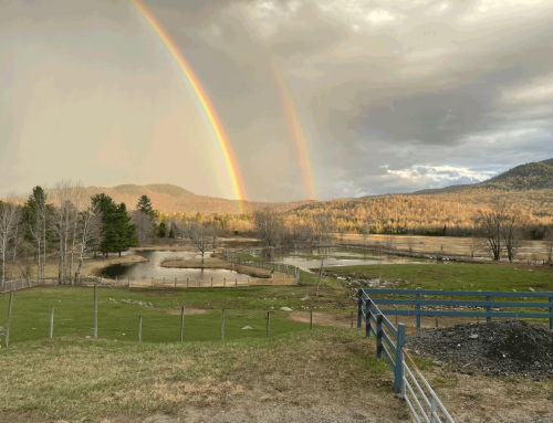 Moratorium Needed to Stop Land Spreading of Harmful Biosolids