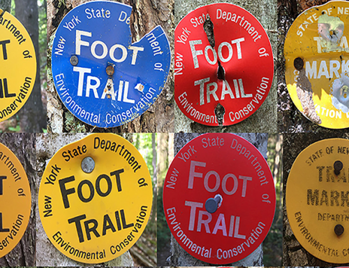 Take the 2026 Adirondack Forest Preserve Hiker Survey
