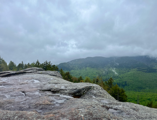 State Budget funds Adirondack programs but EPF funding for land protection and stewardship reduced