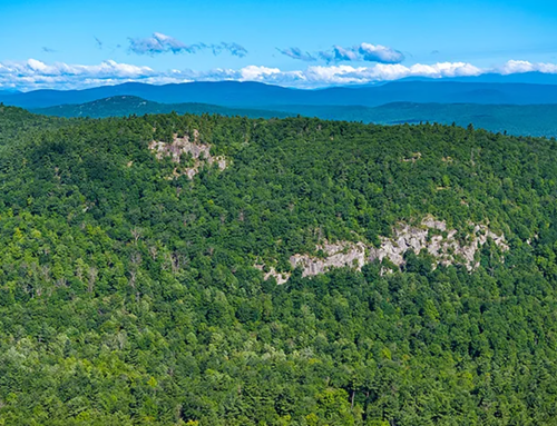 Two new land deals protect nearly 4,000 acres in the Adirondack Park