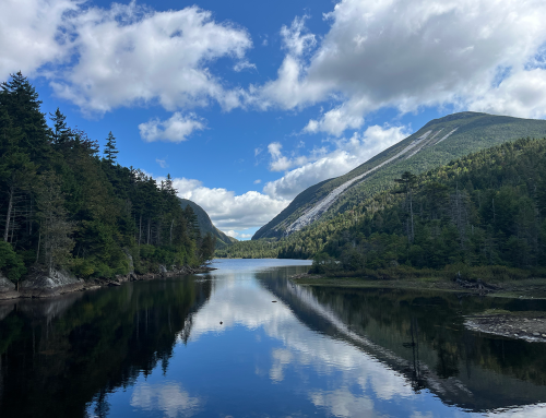 Federal and State candidates answer questions on environmental matters in Adirondack Park